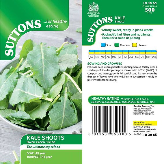 Kale Shoots - Seeds