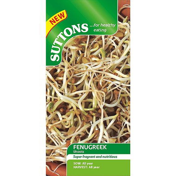 Fenugreek Shoots - Seeds