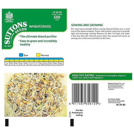 Wheatgrass Shoots - Seeds