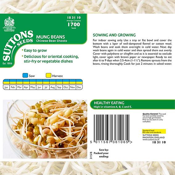 Beansprouts (Mung Bean) - Seeds