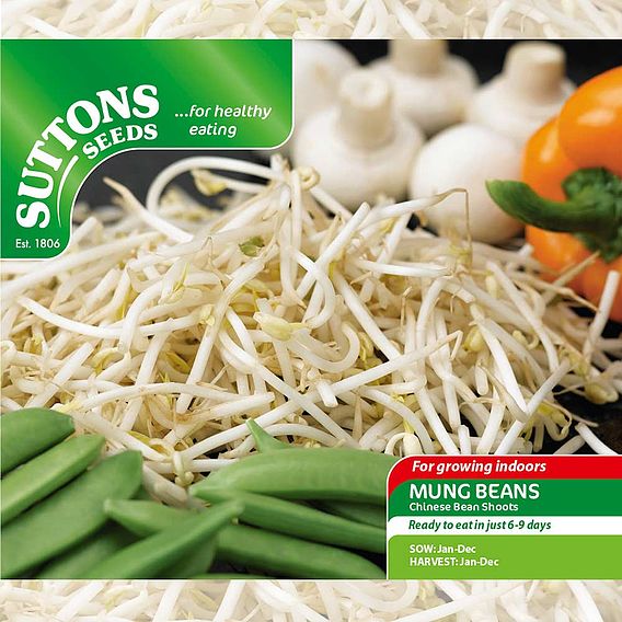 Beansprouts (Mung Bean) - Seeds