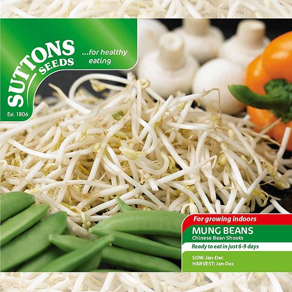 Beansprouts (Mung Bean) Seeds