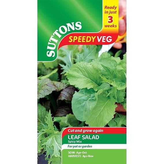 Leaf Salad 'Spicy Mix' - Speedy Veg Seeds