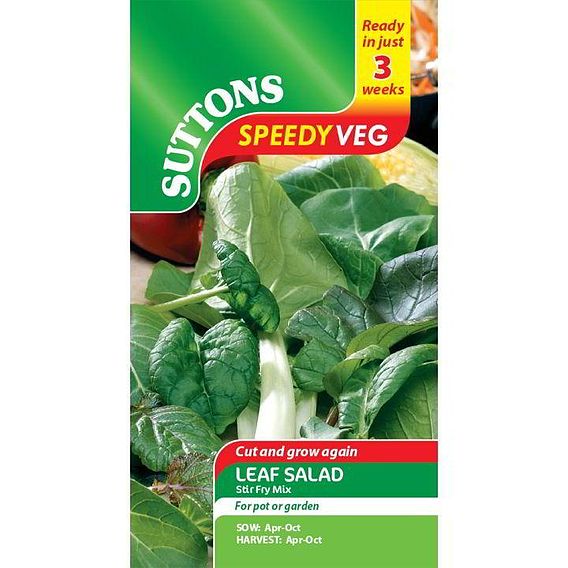 Leaf Salad 'Stir Fry Mix' - Speedy Veg Seeds