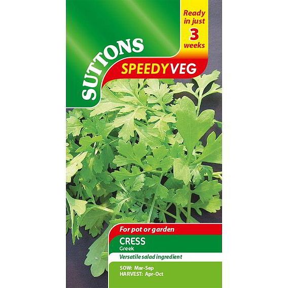 Speedy Veg Seed - Leaf Salad Cress Greek