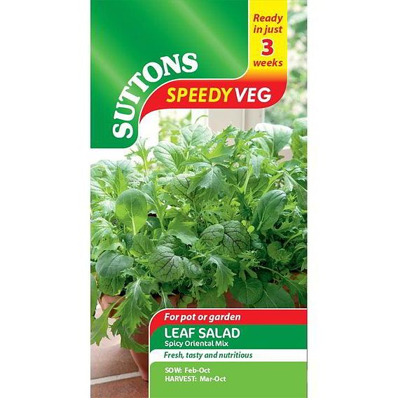 Leaf Salad 'Spicy Oriental Mix' - Speedy Veg Seeds