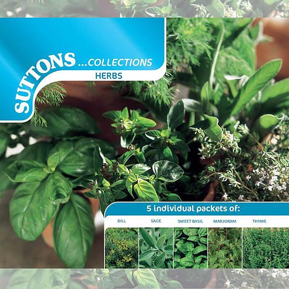 Herb Collection - Seeds