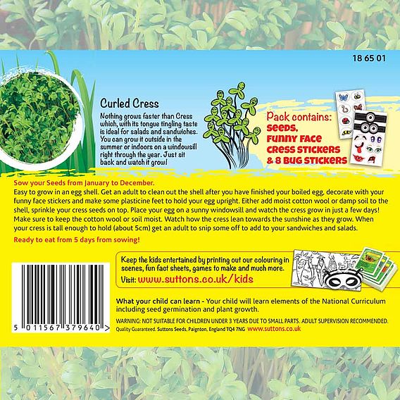 Cress 'Cress Heads (Curled)' - Seeds