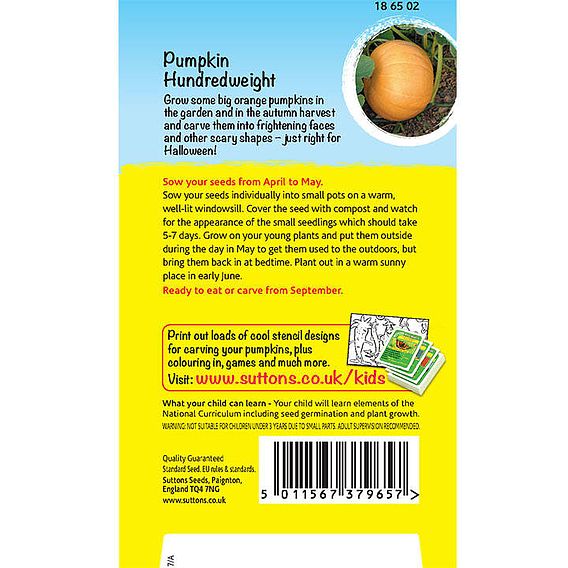 Pumpkin 'Crafty Pumpkin (Hundredweight)' - Seeds
