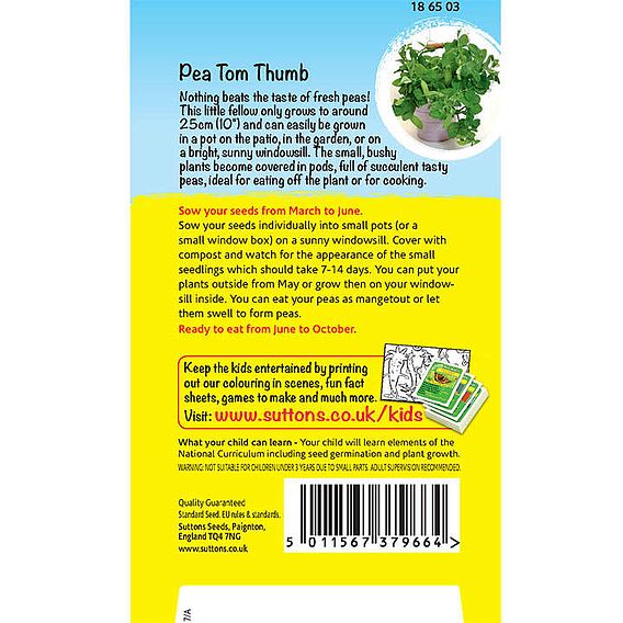 Pea 'Mini Muncher (Tom Thumb)' - Seeds