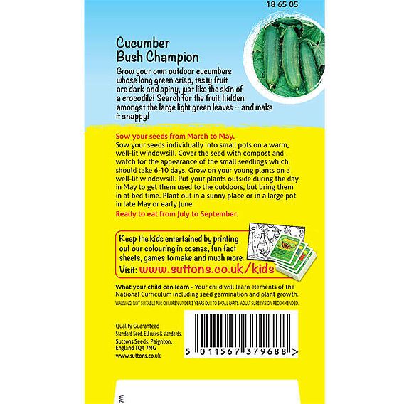 Cucumber Seeds - Crocodile Cucumber (Bush Champion)