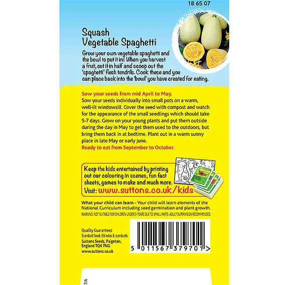 Squash 'Pasta Plant (Vegetable Spaghetti)' - Seeds