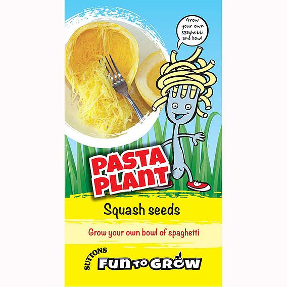 Squash 'Pasta Plant (Vegetable Spaghetti)' - Seeds