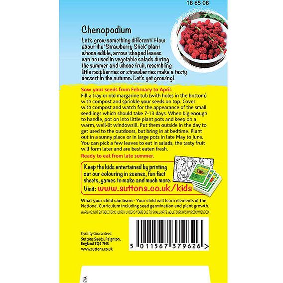 Chenopodium 'Strawberry Sticks' - Seeds