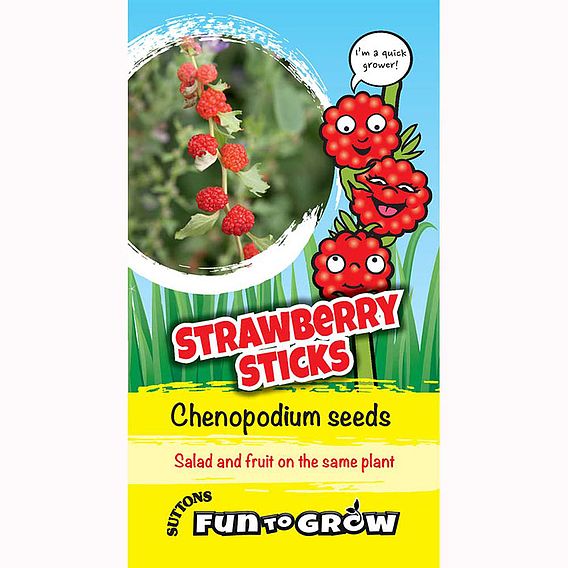 Chenopodium 'Strawberry Sticks' - Seeds
