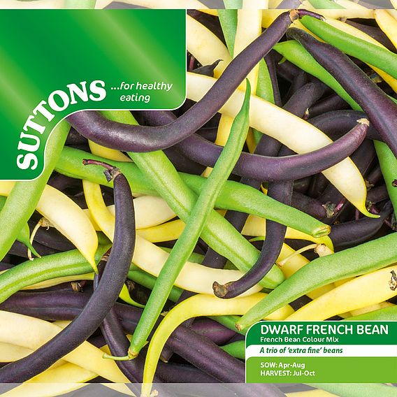 Dwarf French Bean 'Colour Mix' - Seeds
