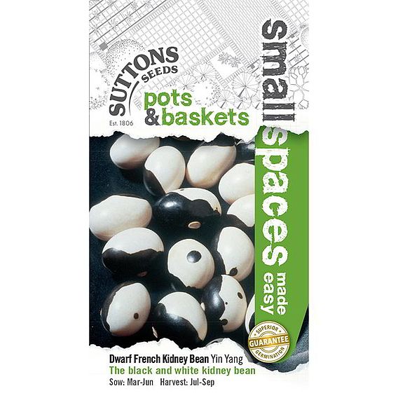 Dwarf French Kidney Bean 'Yin Yang' - Seeds
