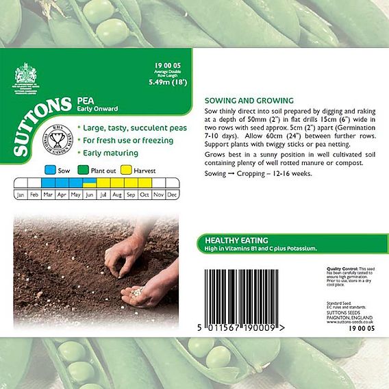 Pea 'Early Onward' - Seeds