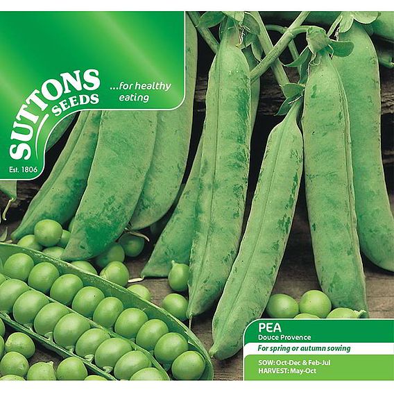 Pea 'Douce Provence' - Seeds