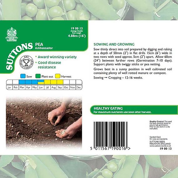Pea 'Ambassador' - Seeds