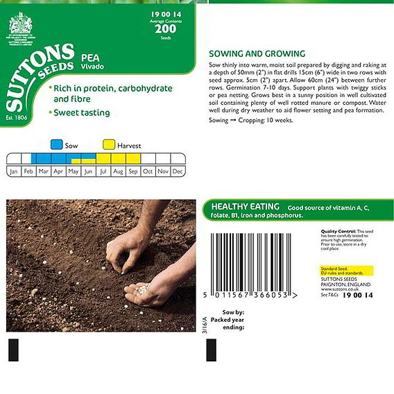 Pea 'Vivado' - Seeds