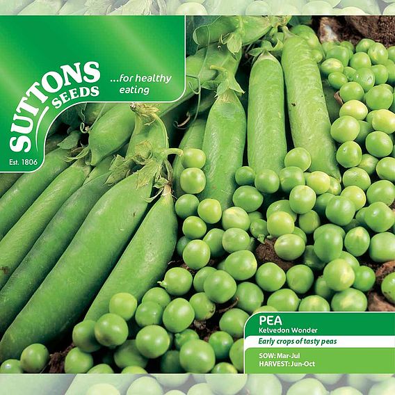 Pea 'Kelvedon Wonder' - Seeds