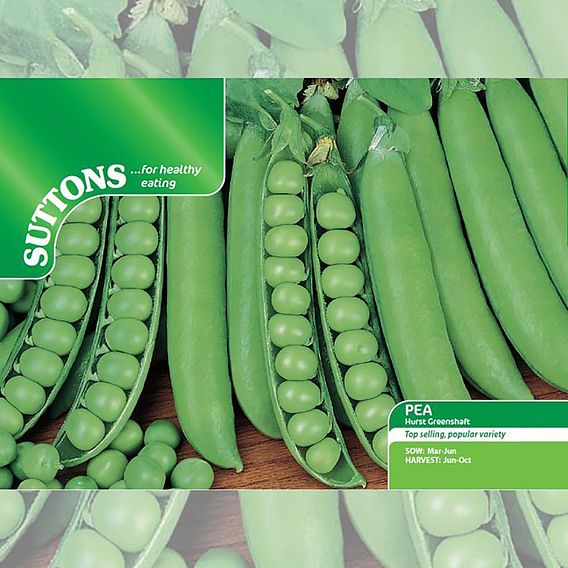 Pea 'Hurst Greenshaft' - Seeds