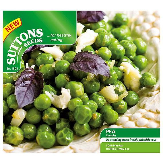 Pea 'Lincoln' - Seeds