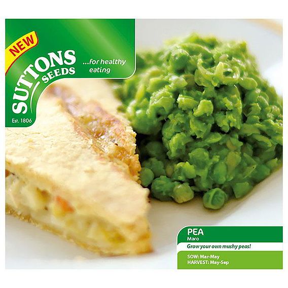 Pea 'Maro' - Seeds