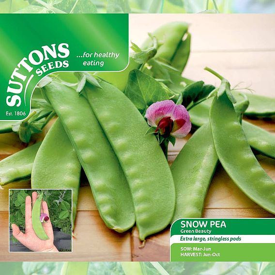 Snow Pea 'Green Beauty' - Seeds