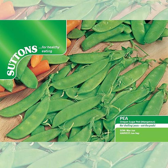 Pea 'Oregon Sugar Pod' - Seeds