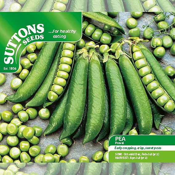 Pea 'Proval' - Seeds