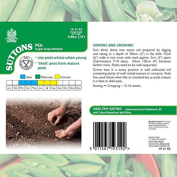 Pea Sugar Snap 'Delikett' - Seeds