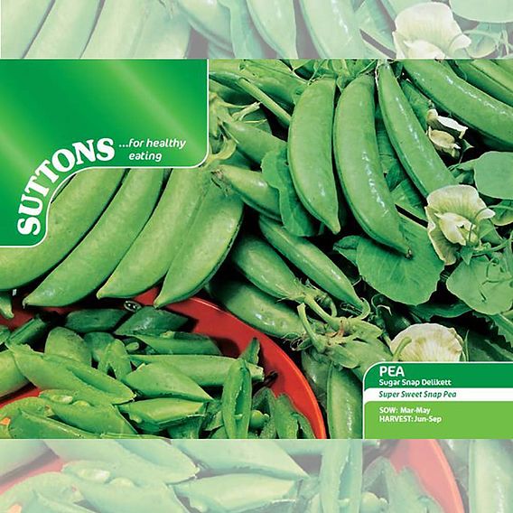 Pea Sugar Snap 'Delikett' - Seeds