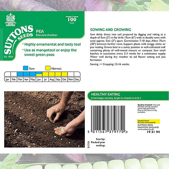 Pea 'Blauwschokker' - Seeds