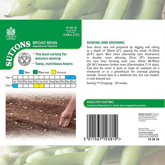 Broad Bean 'Aquadulce Claudia' - Seeds