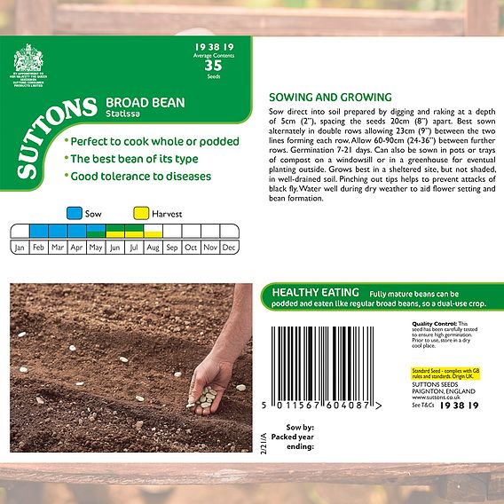 Broad Bean Statissa - Seeds