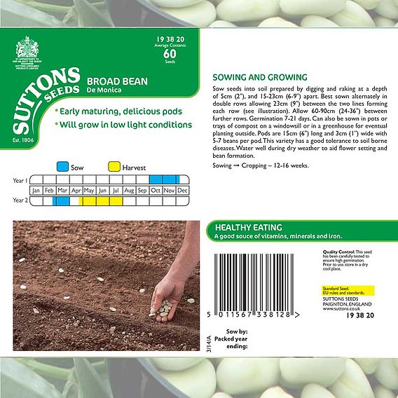 Broad Bean 'De Monica' - Seeds