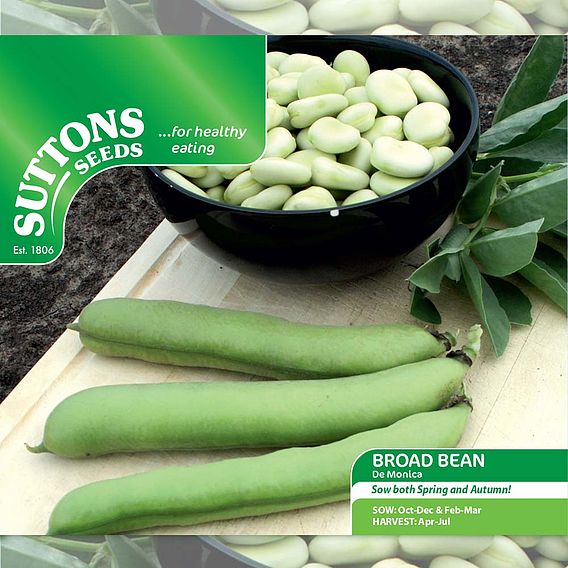 Broad Bean 'De Monica' - Seeds
