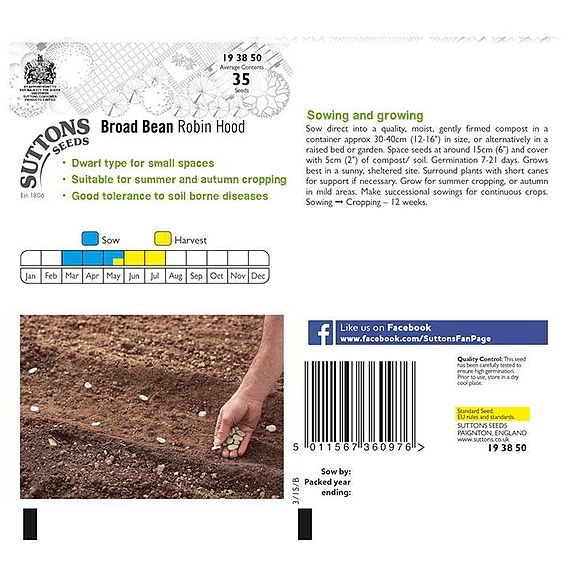 Broad Bean 'Robin Hood' - Seeds