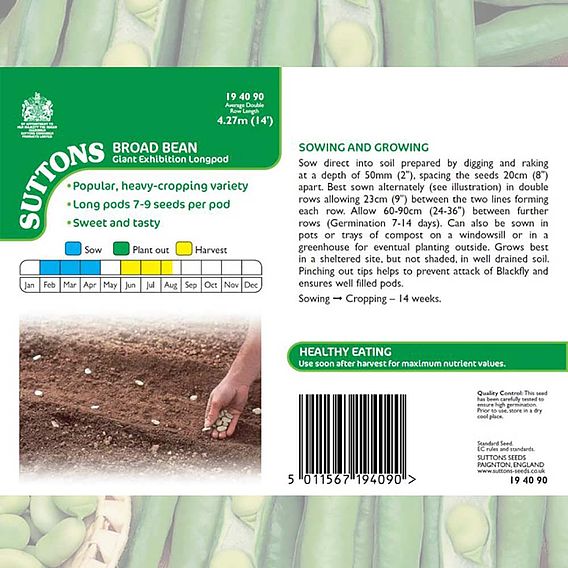 Broad Bean 'Giant Exhibition Longpod' - Seeds