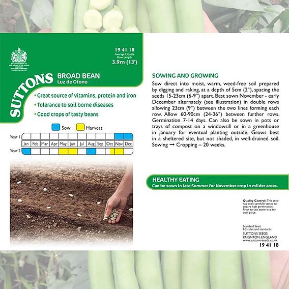 Broad Bean 'Luz de Otono' - Seeds