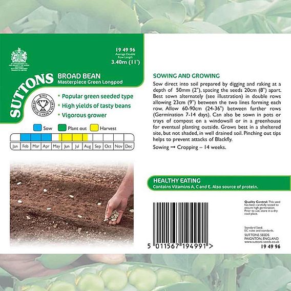 Broad Bean 'Masterpiece Green Longpod' - Seeds