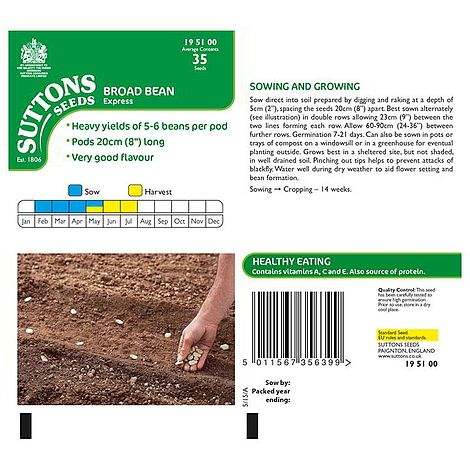 Broad Bean 'Express' - Seeds