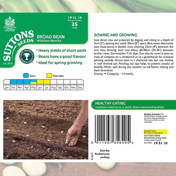 Broad Bean 'Witkiem Manita' - Seeds