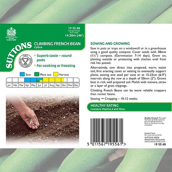 Climbing French Bean 'Cobra' - Seeds