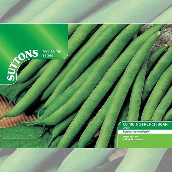 Climbing French Bean 'Cobra' - Seeds