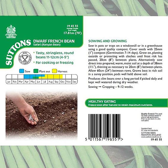 Dwarf French Bean 'Safari' - Seeds