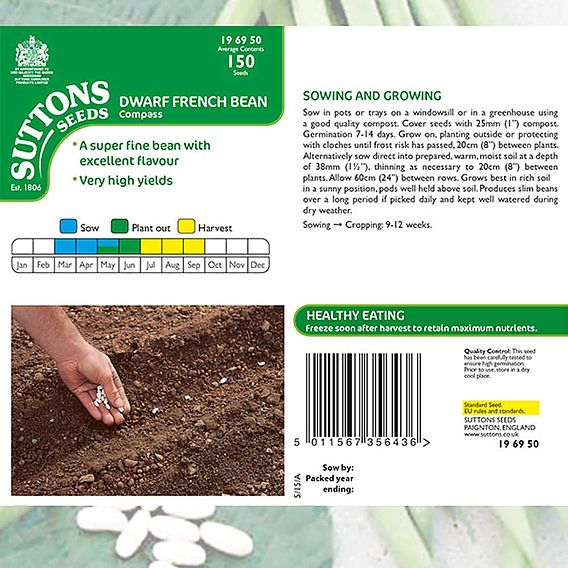 Dwarf French Bean 'Compass' - Seeds