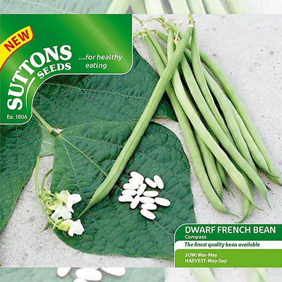 Dwarf French Bean 'Compass' - Seeds